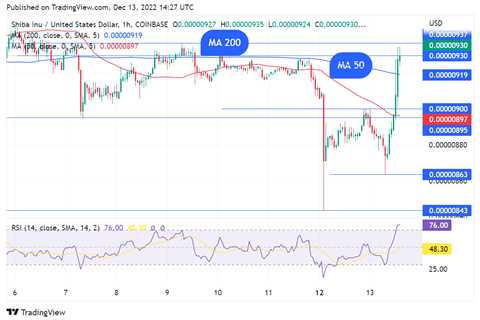 SHIB Price Reacts with Massive Hourly Green Candle, Here's What Might Be Next - Shiba Inu Market..