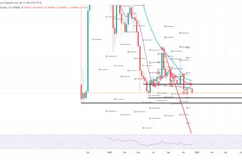 SHIB no match for Central Banks as a 20% selloff continues - Shiba Inu Market News