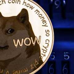 Will DOGE reach $0.50 after the space mission is launched by Elon Musk?