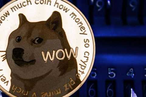 Will DOGE reach $0.50 after the space mission is launched by Elon Musk?