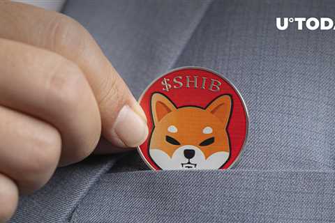 Shiba Inu Sustains Surprising Trend in Holder Base, Here's Why It's Significant - Shiba Inu Market..