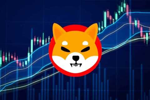 Shiba Inu Coin Burn Rate Spikes By 500%; Price Surges By 12% - Shiba Inu Market News