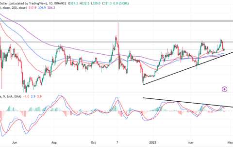 Top Crypto Gainers Today, April 22 – ZIL, BNB, LHINU, DLANCE, ARB, ECOTERRA, BSV