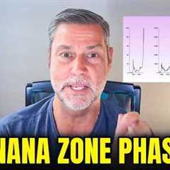 Banana Zone Phase 3 Will Take Bitcoin Straight to $500,000 - Raoul Pal & Jordi Visser