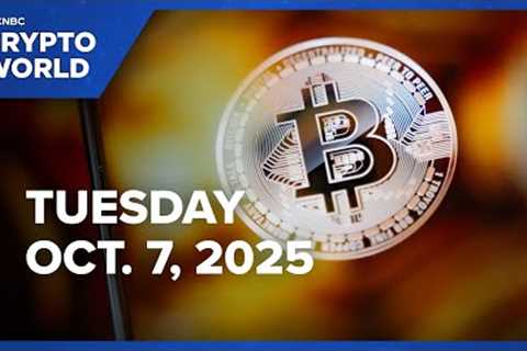 Bitcoin retreats from record as crypto rally cools: CNBC Crypto World