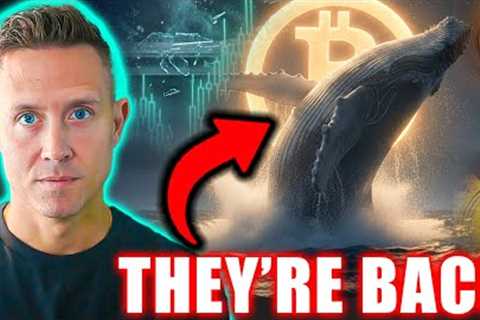 My TOP 4 ALTCOINS...Whales Are Buying Bitcoin Like NEVER Before (Charts Are Insane)